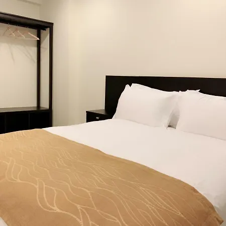 The Luxury Hotel